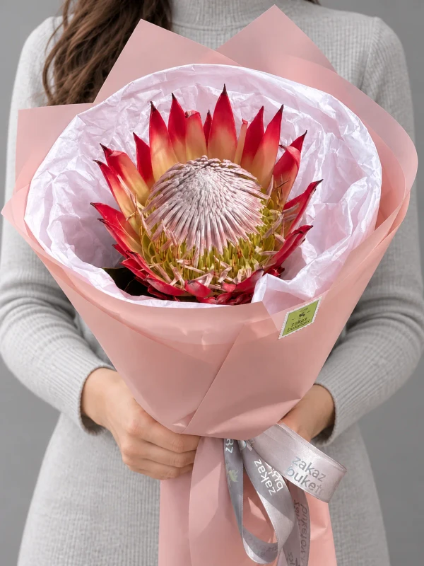 Букет "Protea" — «Protea» — элегантный букет из 1 протеи.